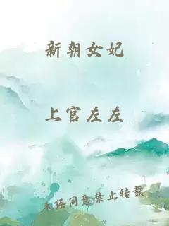 新朝女妃