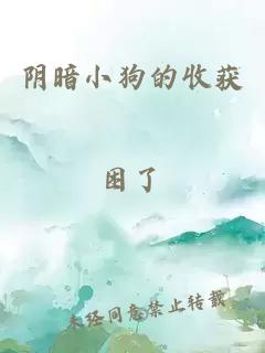阴暗小狗的收获
